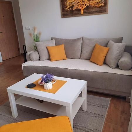 Bankovic Apartman Vrnjačka Banja Extérieur photo