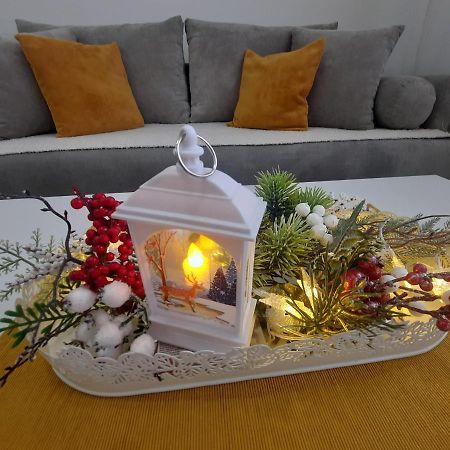 Bankovic Apartman Vrnjačka Banja Extérieur photo