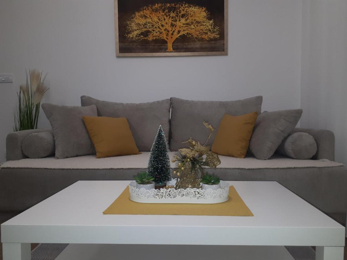 Bankovic Apartman Vrnjačka Banja Extérieur photo