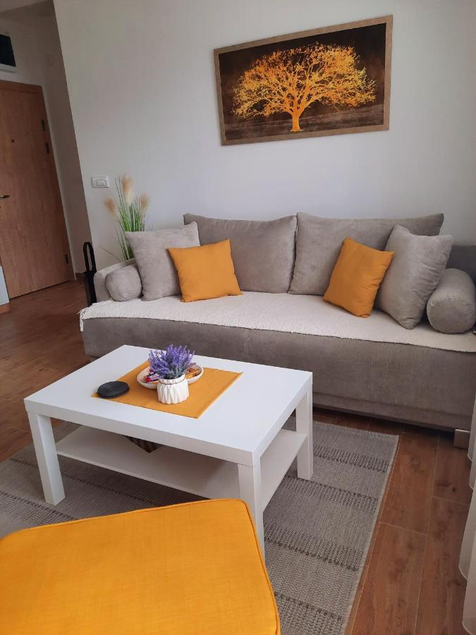 Bankovic Apartman Vrnjačka Banja Extérieur photo