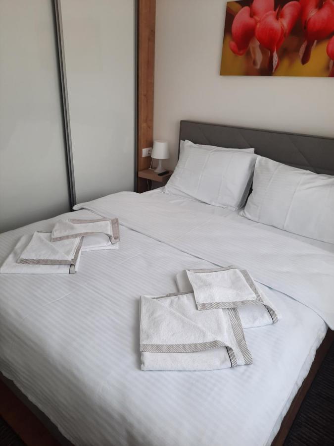 Bankovic Apartman Vrnjačka Banja Extérieur photo