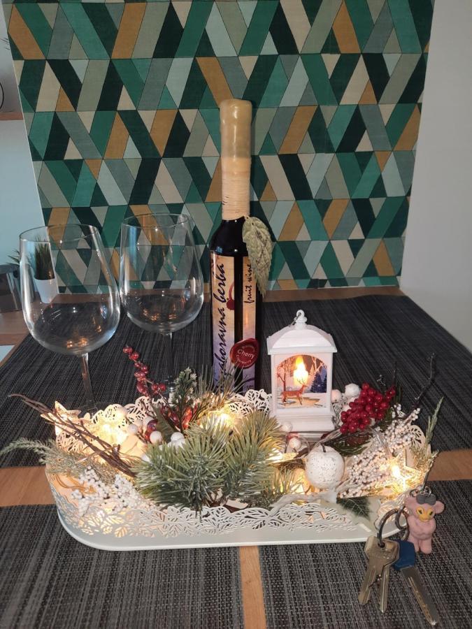 Bankovic Apartman Vrnjačka Banja Extérieur photo